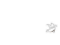 Bird Flying Sticker