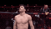 Sport Mma GIF by UFC