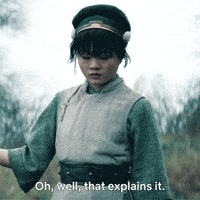 Avatar The Last Airbender Sarcasm GIF by NETFLIX
