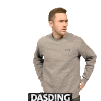 What Sticker by DASDING