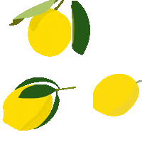 Illustration Fruit Sticker