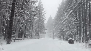 Snowy Scenes in Lake Tahoe Amid Avalanche Warning