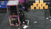 Bbnaija11 GIF by Big Brother Naija
