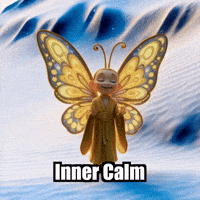Wisdom Inner Calm GIF by BuddhaFlyJourney