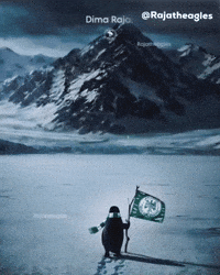 Raja Pinguin GIF