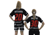 Floorball Salibandy Sticker by F-liiga