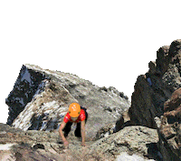 Montana Escalar Sticker by Ron Viejo de Caldas