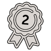 Ribbon Secondplace Sticker by Fundis Reitsport