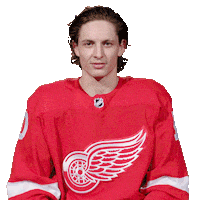 Swipe Up Ice Hockey Sticker by Detroit Red Wings