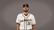 Cal State La Baseball GIF by Cal State LA Golden Eagles