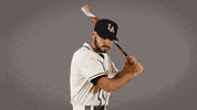 Cal State La Baseball GIF by Cal State LA Golden Eagles