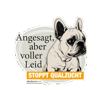 akademievet  Sticker
