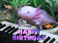 Happy Birthday Bday GIF by MOODMAN