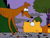 Season 2 GIF by The Simpsons