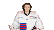 La Roche Sur Yon Teddy Sticker by Hockey Glace Yonnais