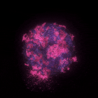 fractal the universe GIF by xponentialdesign