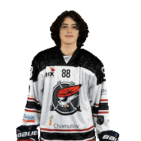 Hokej Sticker by Piráti Chomutov