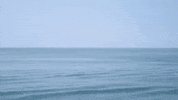 Sea Mar GIF by jorgemariozuleta
