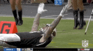 Regular Season Football GIF by NFL