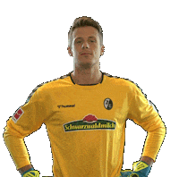 Sc Freiburg Yes Sticker by SCF