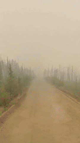 Simongip giphyupload GIF