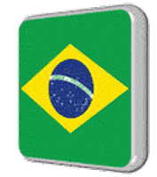 brazil STICKER