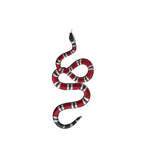 Snake Gucci Sticker