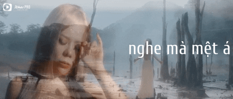 Nhacpro GIF by Nam Viet Media