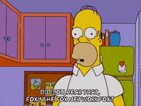 homer simpson GIF
