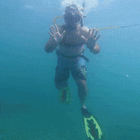 Married At First Sight Hello GIF by Lifetime