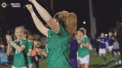 Well Done Win GIF by Northern Ireland