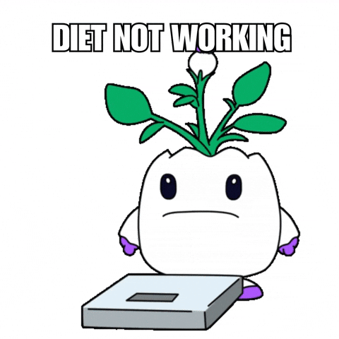 Fitness Weighing GIF by Magic Eden