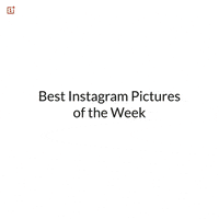 GIF by OnePlus
