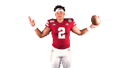 College Football Sticker by Huskers