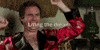 will ferrell GIF