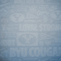 Brigham Young Byu Baseball GIF by BYU Cougars