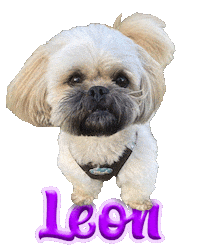 Dog Leon Sticker