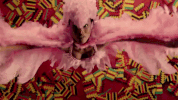 kendrick lamar GIF by Interscope Records