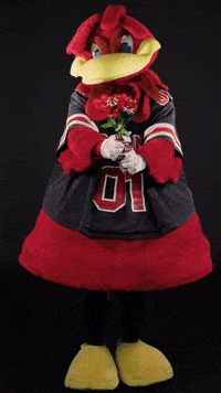 Heart GIF by University of South Carolina