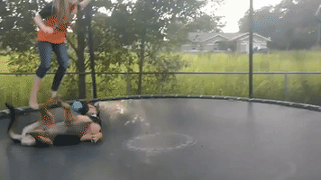 Friends Furever: Pup Bounces With Kid on Trampoline