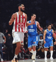 Crvena Zvezda GIF
