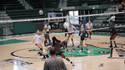 athletics volleyball GIF by GreenWave