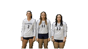 Womens Volleyball Heart Sticker by Clarke University