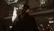 Video Games Gamer GIF