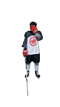 EishockeyEintrachtFrankfurt eintracht frankfurt frankfurt eishockey eisadler Sticker