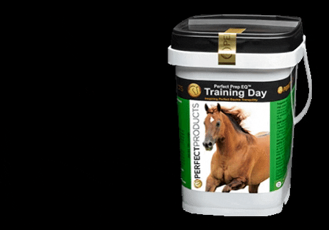 PerfectProducts giphygifmaker equestrian dressage training day GIF