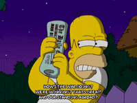 homer simpson episode 3 GIF