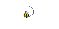 Bee Flying Sticker by Peter Steineck