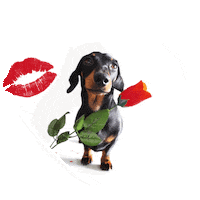 Love You Kiss Sticker