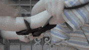subpoprecords dogs skate windows sub pop GIF